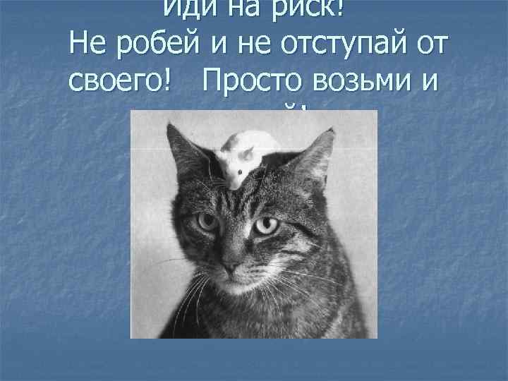 Иди на риск! Не робей и не отступай от своего! Просто возьми и сделай!