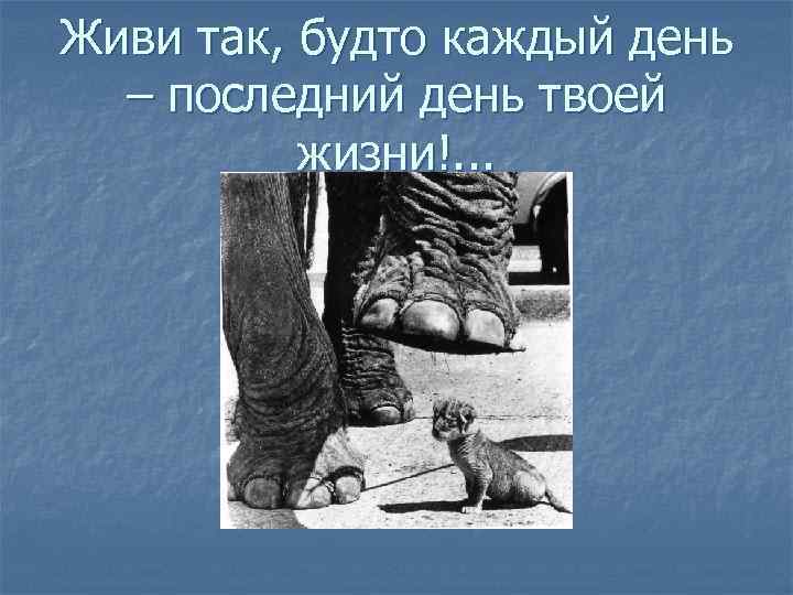 Живи так, будто каждый день – последний день твоей жизни!. . . 