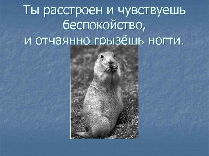 Ты расстроен и чувствуешь беспокойство, и отчаянно грызёшь ногти. 