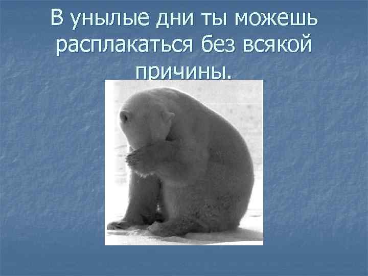 В унылые дни ты можешь расплакаться без всякой причины. 