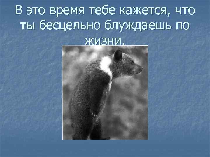В это время тебе кажется, что ты бесцельно блуждаешь по жизни. 