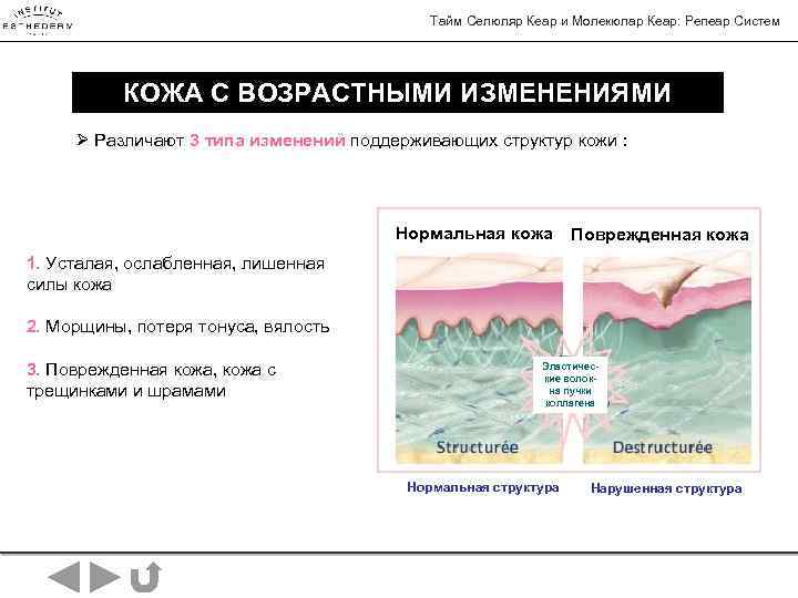  Тайм Селюляр Кеар и Молекюлар Кеар: Репеар Систем КОЖА С ВОЗРАСТНЫМИ ИЗМЕНЕНИЯМИ Ø