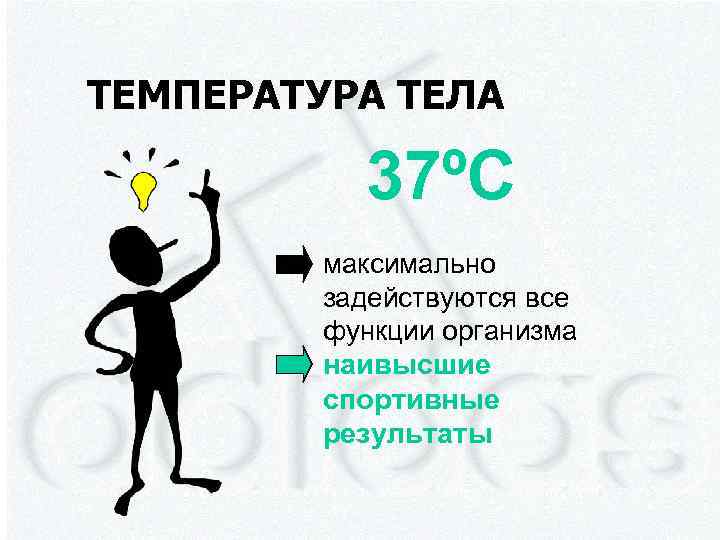 ТЕМПЕРАТУРА ТЕЛА 37ºC максимально задействуются все функции организма наивысшие спортивные результаты 