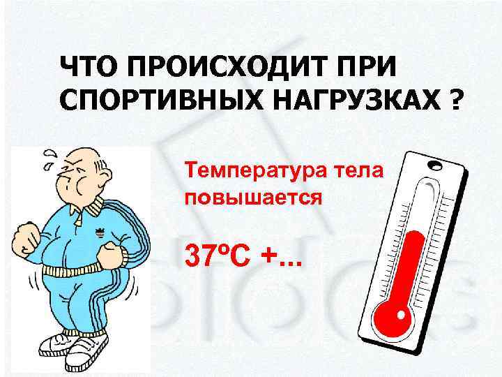 ЧТО ПРОИСХОДИТ ПРИ СПОРТИВНЫХ НАГРУЗКАХ ? Температура тела повышается 37ºC +. . . 