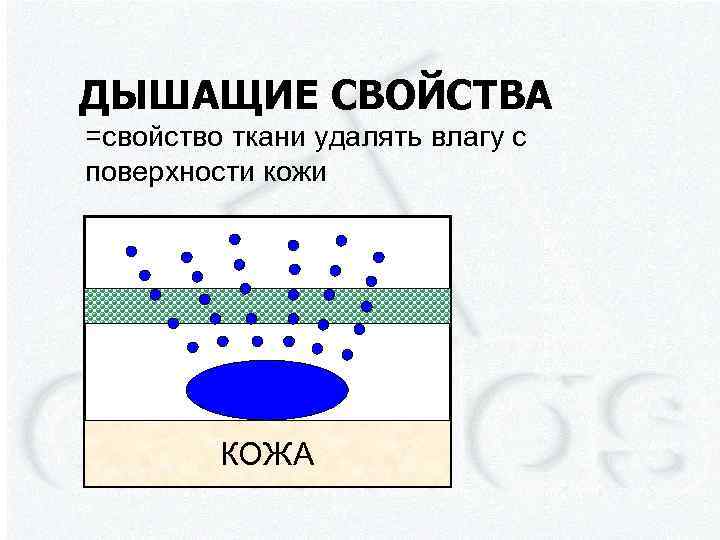 ДЫШАЩИЕ СВОЙСТВА =свойство ткани удалять влагу с поверхности кожи КОЖА 