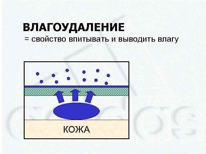 ВЛАГОУДАЛЕНИЕ = свойство впитывать и выводить влагу КОЖА 