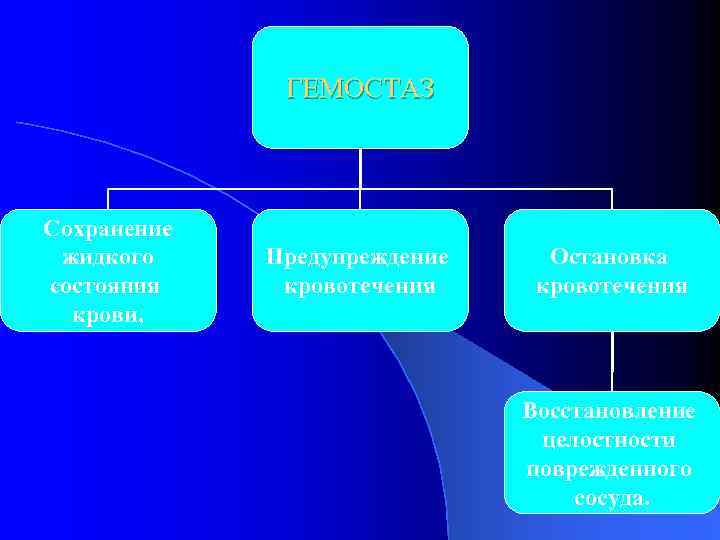 ГЕМОСТАЗ Сохранение жидкого состояния крови, Предупреждение кровотечения Остановка кровотечения Восстановление целостности поврежденного сосуда. 