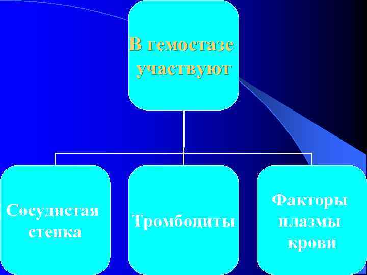 В гемостазе участвуют Сосудистая стенка Тромбоциты Факторы плазмы крови 