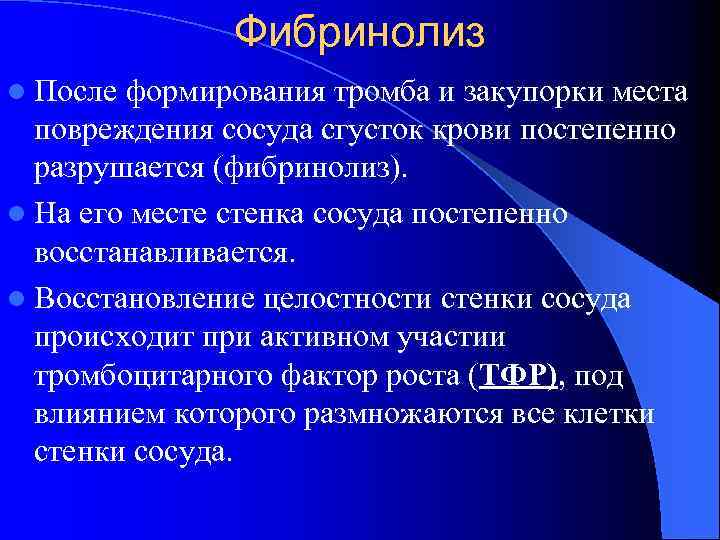 Фибринолиз l После формирования тромба и закупорки места повреждения сосуда сгусток крови постепенно разрушается