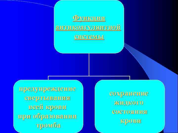 Функции антикоагулянтной системы предупреждение свертывания всей крови при образовании тромба сохранение жидкого состояния крови