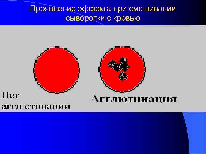 Проявление эффекта при смешивании сыворотки с кровью 