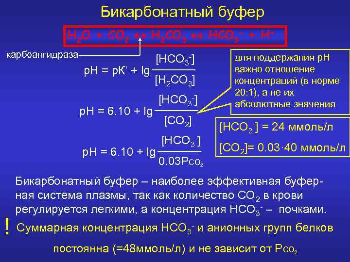 Бикарбонатный буфер - + H+ H 2 OH+O + CO 2 2 H 2