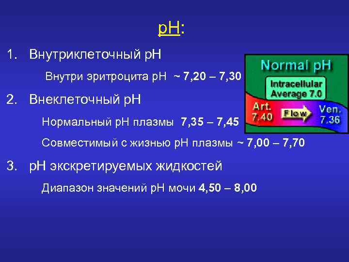 р. Н: 1. Внутриклеточный р. Н Внутри эритроцита р. Н ~ 7, 20 –