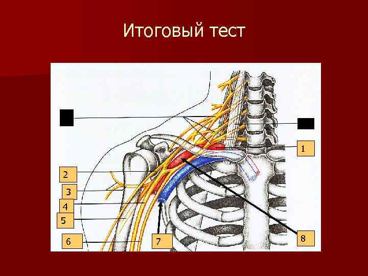 Итоговый тест 1 2 3 4 5 6 7 8 