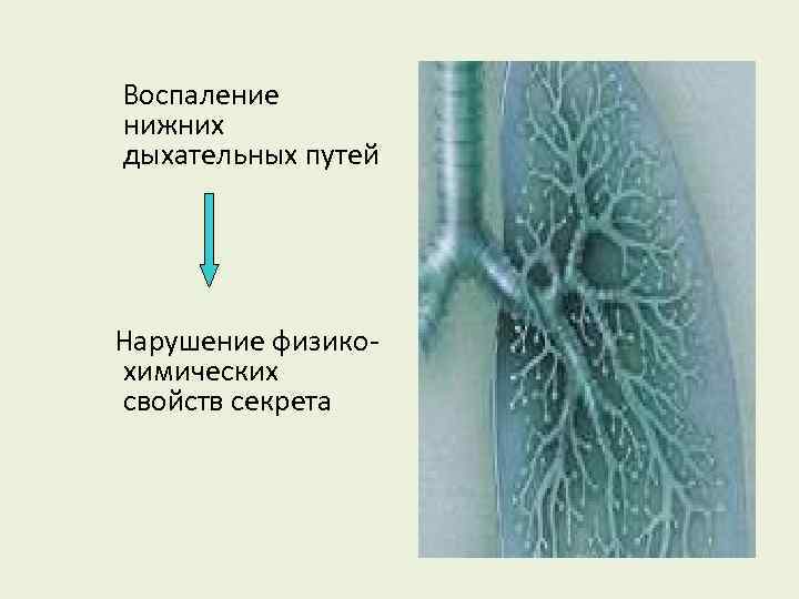 Воспаление нижних дыхательных путей Нарушение физикохимических свойств секрета 