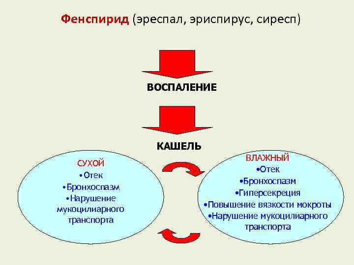 Фенспирид (эреспал, эриспирус, сиресп) ВОСПАЛЕНИЕ КАШЕЛЬ СУХОЙ • Отек • Бронхоспазм • Нарушение мукоцилиарного