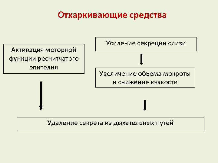Отхаркивающие средства Активация моторной функции реснитчатого эпителия Усиление секреции слизи Увеличение объема мокроты и