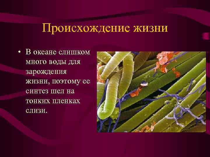 Происхождение жизни • В океане слишком много воды для зарождения жизни, поэтому ее синтез