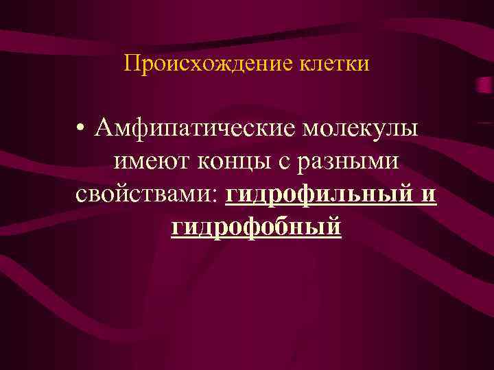 Происхождение клетки • Амфипатические молекулы имеют концы с разными свойствами: гидрофильный и гидрофобный 