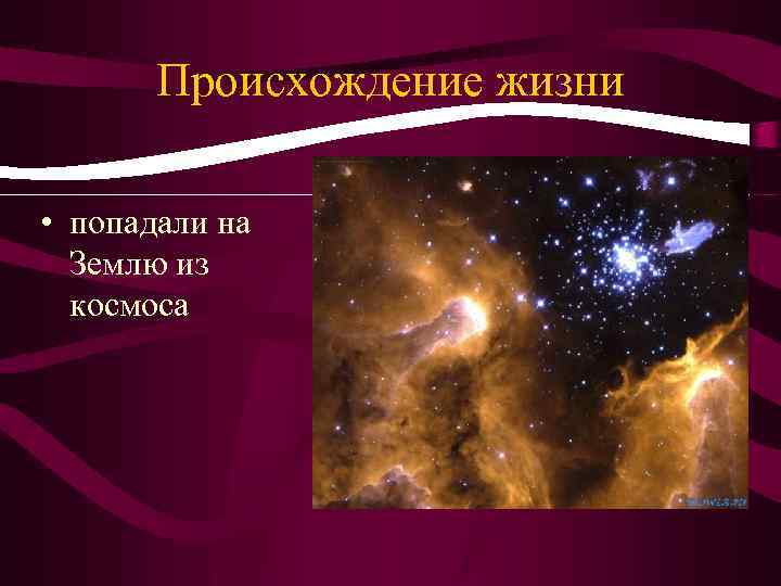 Происхождение жизни • попадали на Землю из космоса 