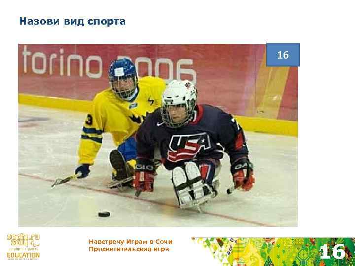 Назови вид спорта 16 Навстречу Играм в Сочи Просветительская игра 16 