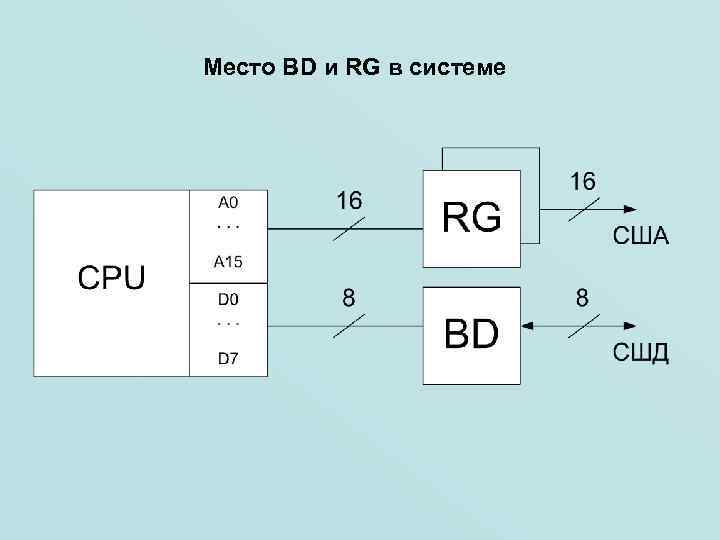Место BD и RG в системе 