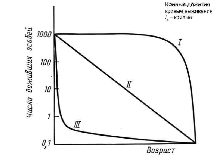 Кривые дожития кривые выживания lx – кривые 