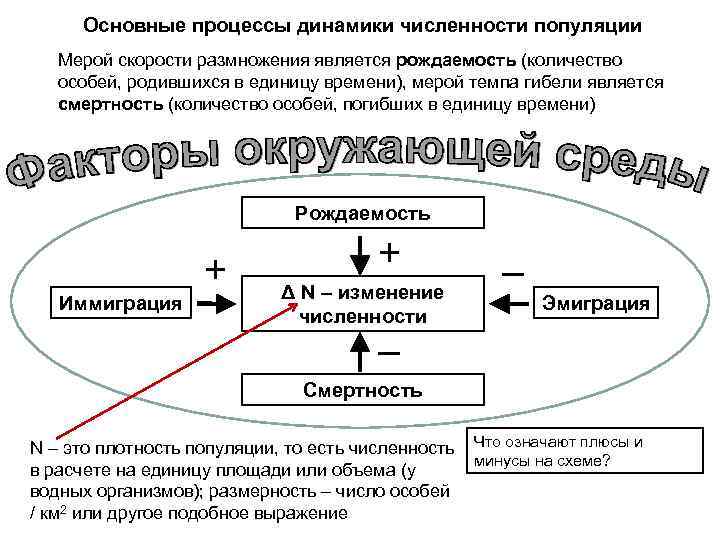 Модели динамических процессов