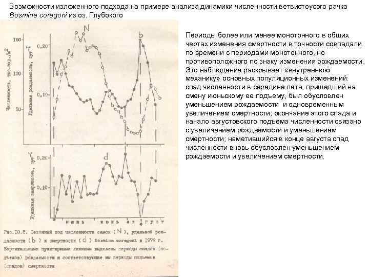 Возможности изложенного подхода на примере анализа динамики численности ветвистоусого рачка Bosmina coregoni из оз.