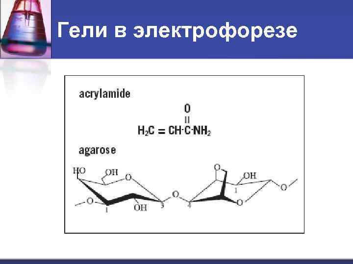 Гели в электрофорезе 