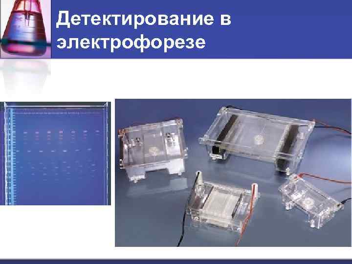 Детектирование в электрофорезе 