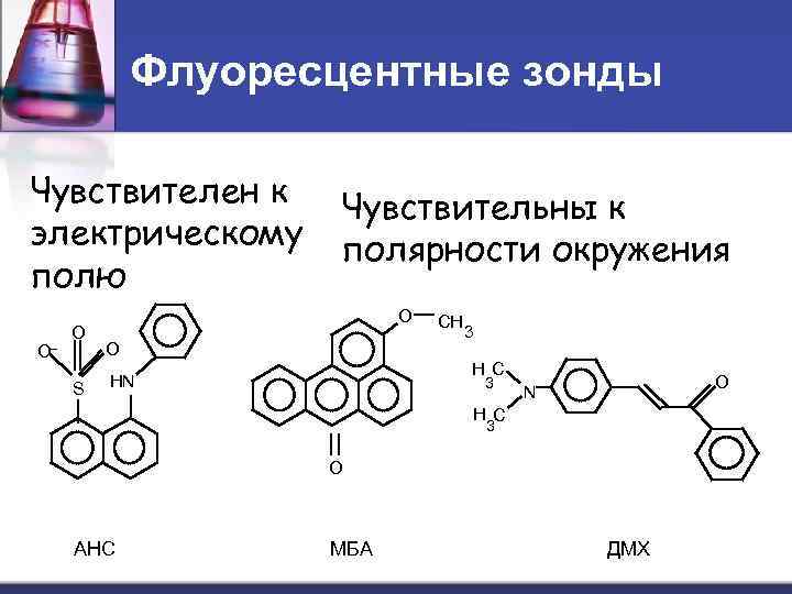 Флуоресцентные зонды Чувствителен к электрическому полю O– O S Чувствительны к полярности окружения O