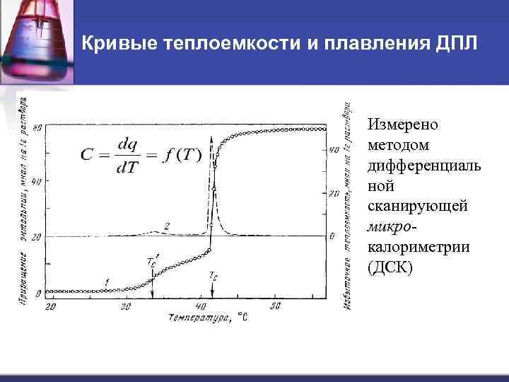 Кривые теплоемкости и плавления ДПЛ Измерено методом дифференциаль ной сканирующей микрокалориметрии (ДСК) 