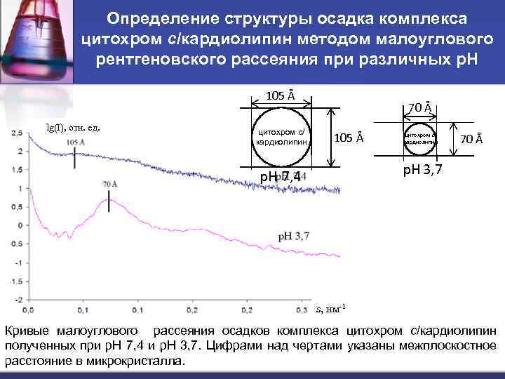 Определение структуры осадка комплекса цитохром с/кардиолипин методом малоуглового рентгеновского рассеяния при различных р. Н