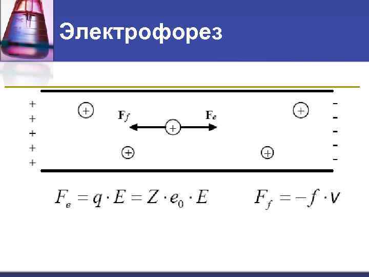 Электрофорез 