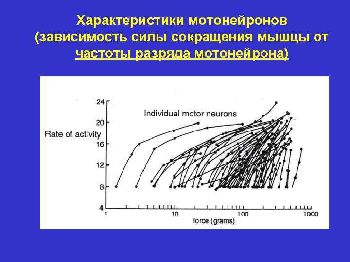 Характеристики мотонейронов (зависимость силы сокращения мышцы от частоты разряда мотонейрона) 