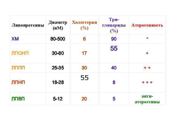 Диаметр Липопротеины (н. М) ХМ 80 -500 Холестерин (%) Триглицериды (%) Атерогенность 6 90