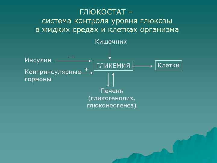 ГЛЮКОСТАТ – система контроля уровня глюкозы в жидких средах и клетках организма Кишечник Инсулин