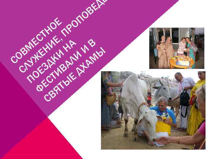 ЕД ОВ Е ОП О Р ТН , П ЕС ИЕ А В М