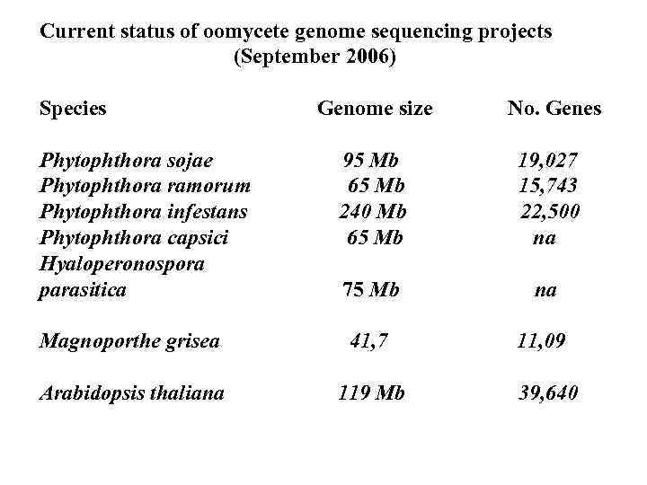Current status of oomycete genome sequencing projects (September 2006) Species Genome size No. Genes