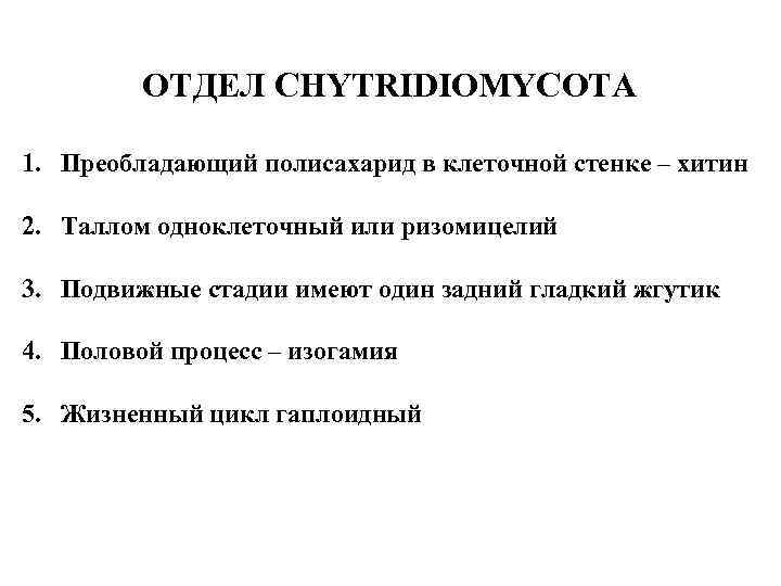 ОТДЕЛ CHYTRIDIOMYCOTA 1. Преобладающий полисахарид в клеточной стенке – хитин 2. Таллом одноклеточный или