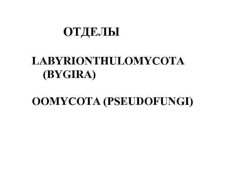 ОТДЕЛЫ LABYRIONTHULOMYCOTA (BYGIRA) OOMYCOTA (PSEUDOFUNGI) 