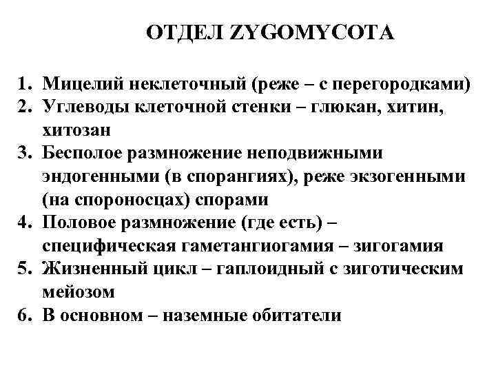 ОТДЕЛ ZYGOMYCOTA 1. Мицелий неклеточный (реже – с перегородками) 2. Углеводы клеточной стенки –