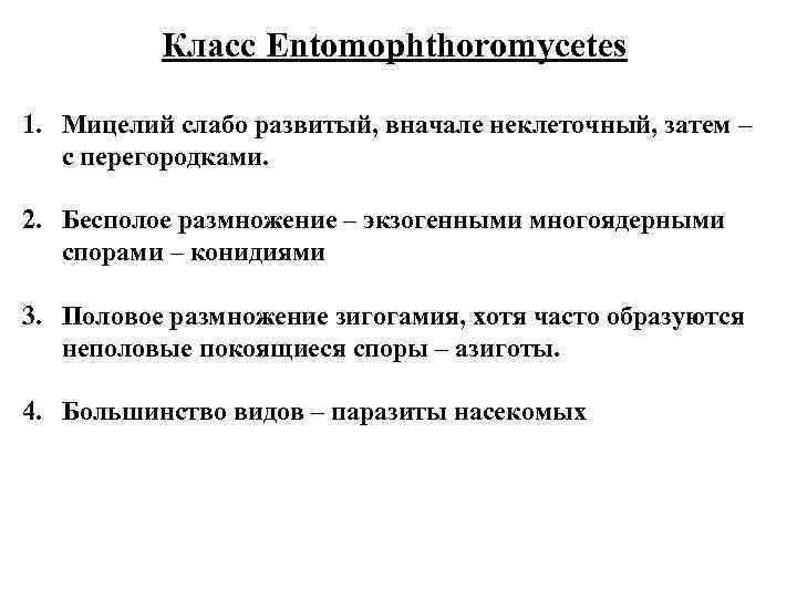 Класс Entomophthoromycetes 1. Мицелий слабо развитый, вначале неклеточный, затем – с перегородками. 2. Бесполое