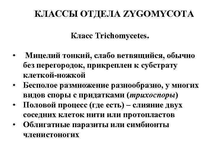 КЛАССЫ ОТДЕЛА ZYGOMYCOTA Класс Trichomycetes. • Мицелий тонкий, слабо ветвящийся, обычно без перегородок, прикреплен