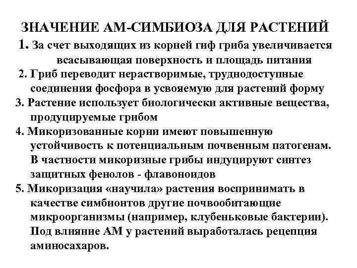 ЗНАЧЕНИЕ АМ-СИМБИОЗА ДЛЯ РАСТЕНИЙ 1. За счет выходящих из корней гиф гриба увеличивается всасывающая