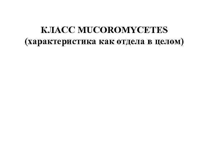 КЛАСС MUCOROMYCETES (характеристика как отдела в целом) 