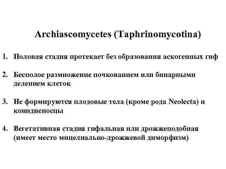 Archiascomycetes (Taphrinomycotina) 1. Половая стадия протекает без образования аскогенных гиф 2. Бесполое размножение почкованием