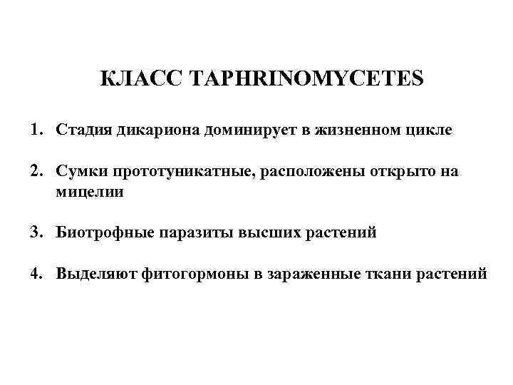 КЛАСС TAPHRINOMYCETES 1. Стадия дикариона доминирует в жизненном цикле 2. Сумки прототуникатные, расположены открыто