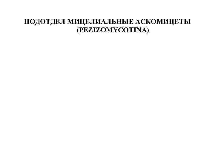 ПОДОТДЕЛ МИЦЕЛИАЛЬНЫЕ АСКОМИЦЕТЫ (PEZIZOMYCOTINA) 